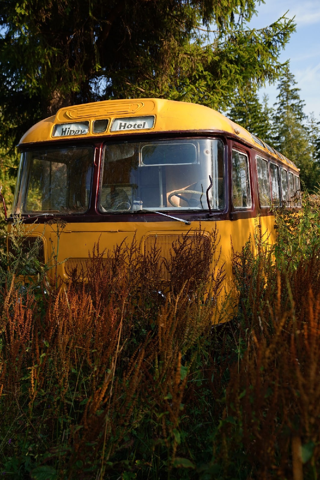 Глэмпинг Hippy Hotel в Московской области.