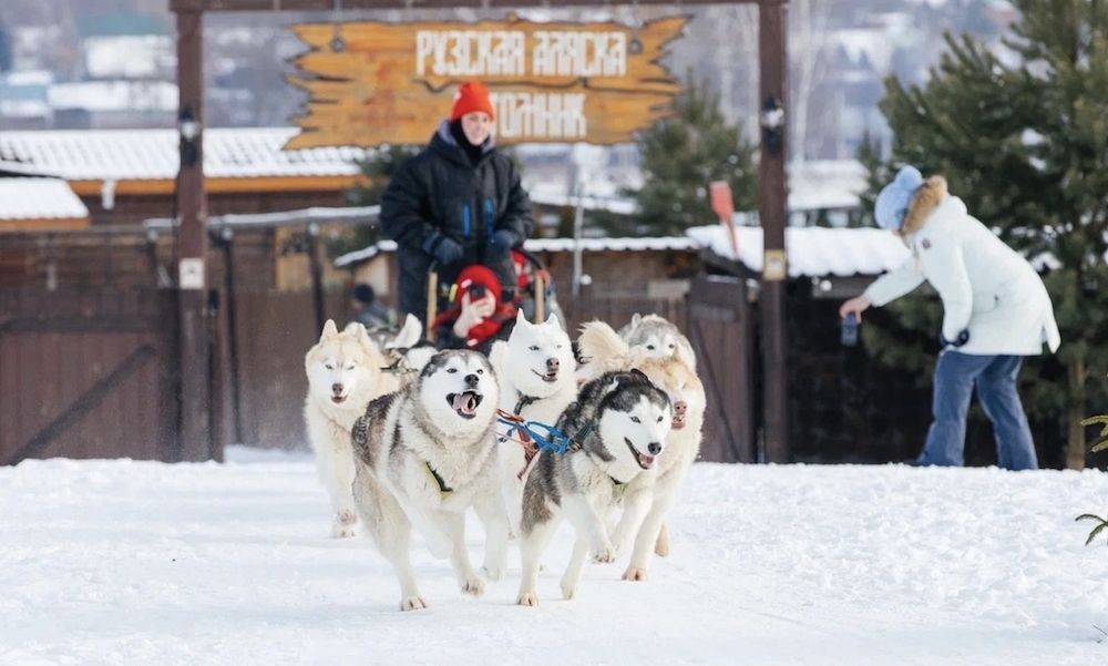 Туры на собачьих упряжках в Хаски-парк Рузская Аляска